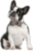 hiclipart.com-id_allsq.png