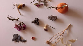 Objetos naturales secos y calabaza