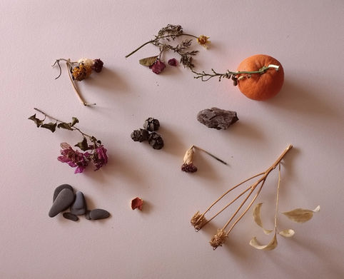 Objetos naturales secos y calabaza