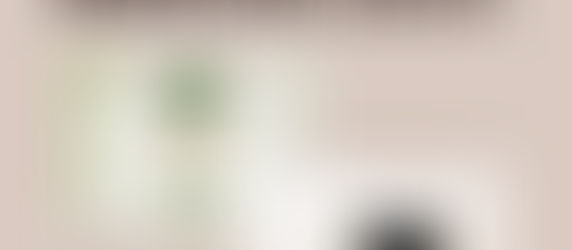 Partnership With Elderly Care Everywhere