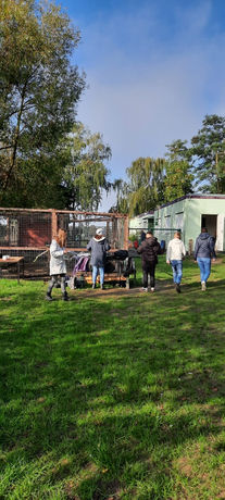 Groß (d15871ee-922b-4fd2-a2c0-10d557c89550).jpeg