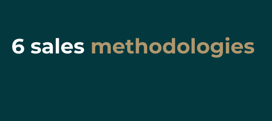 6 Sales methodologies.