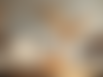 Maximize Style: Chic Corner's Exclusive Home Decor Advice