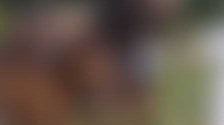 Concours National Vittel 2019 en force pour la maison BRODIER!