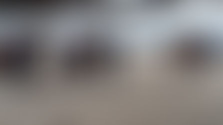 Apollon de Mairy élu meilleur étalon raceur de Pologne!