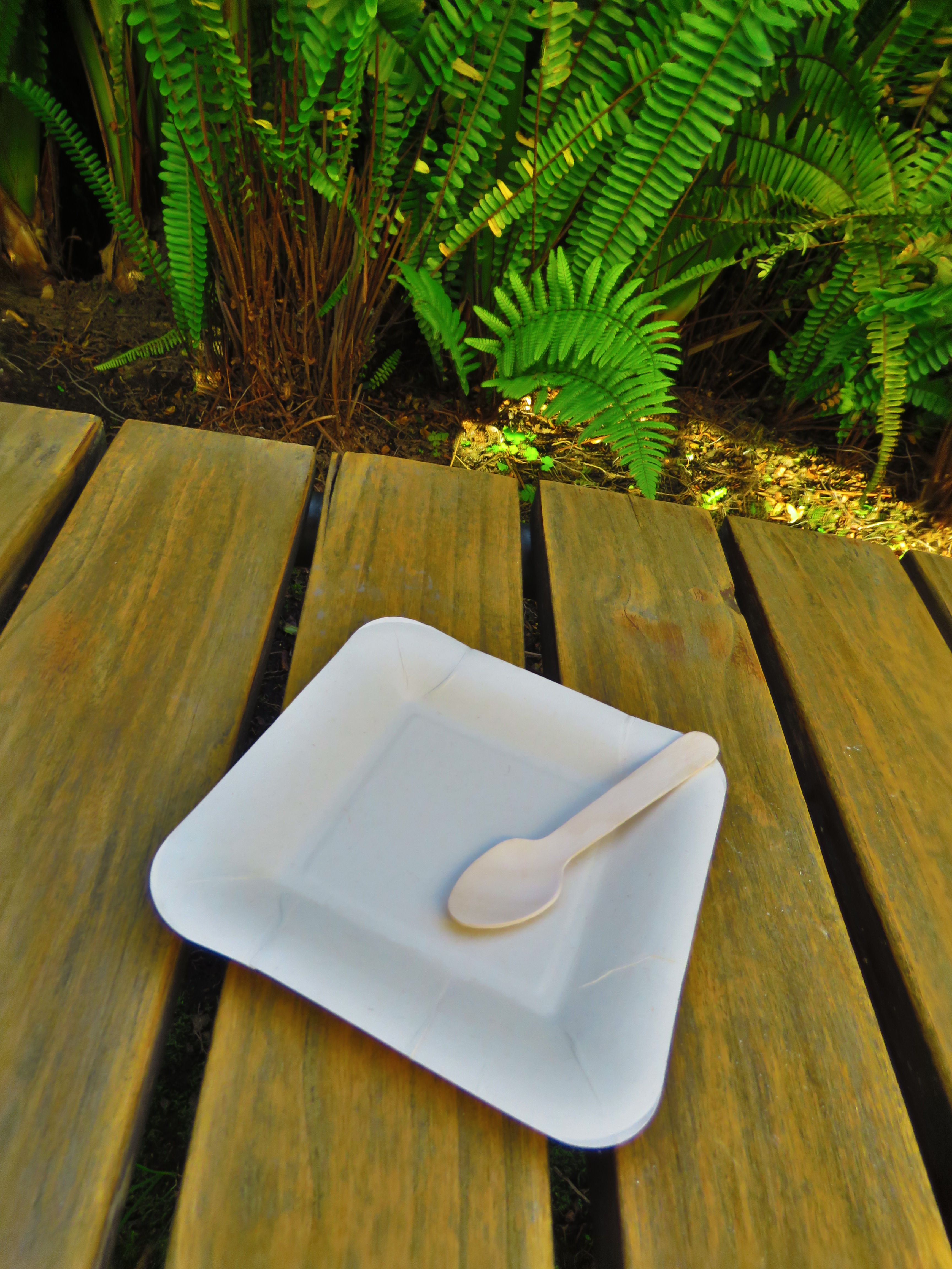 BANDEJA CUADRADA FIBRA DE CAÑA DE AZÚCAR