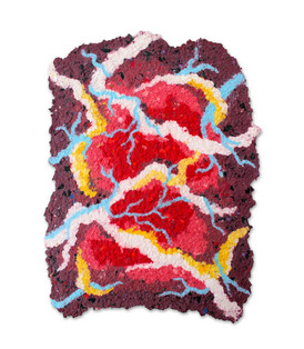 Internal Organs