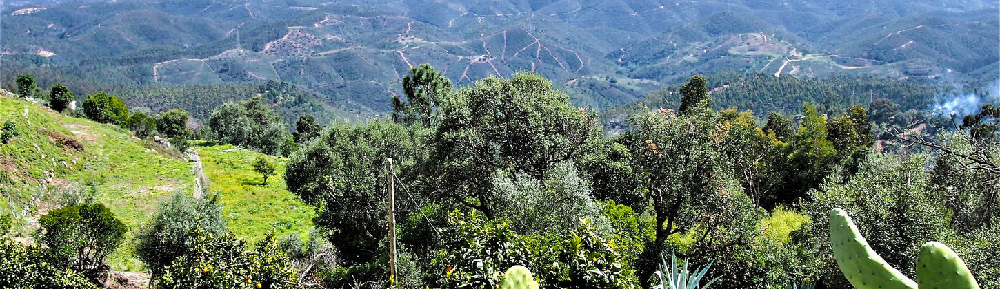 P1018555.jpg
