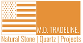 MDT USA Logo.png