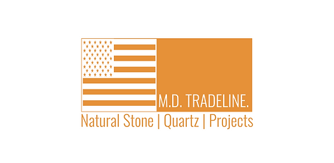 MDT USA Logo.png