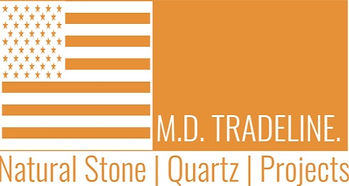MDT%20USA%20Logo_edited.jpg