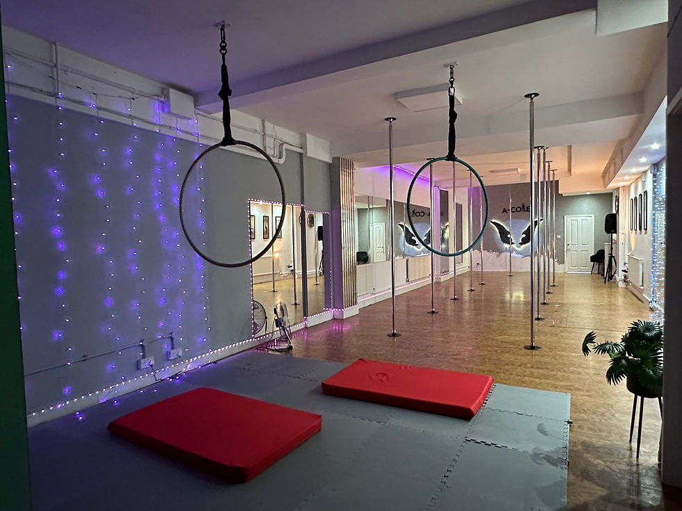 Discover the Amazing Advantages of Aerial Hoop Workouts!