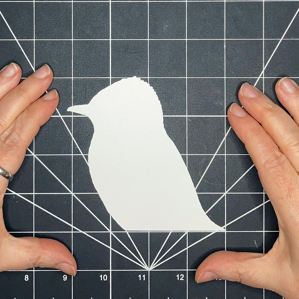 Thumbnail: Bird Head Tracing Template
