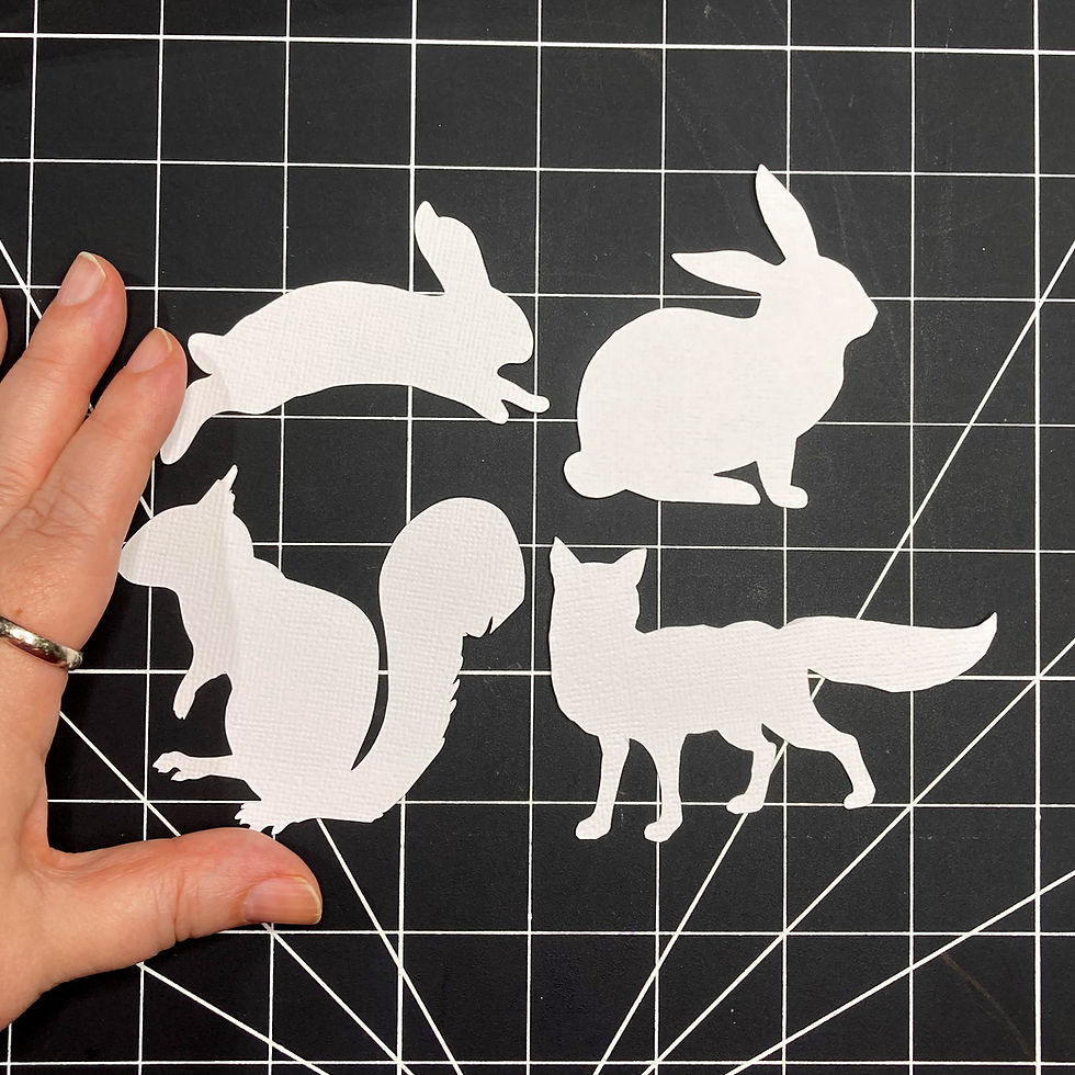 Thumbnail: Bunny Rabbit Fox Squirrel Tracing Templates Set of 4