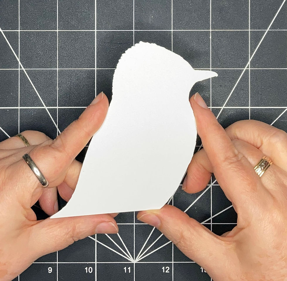 Thumbnail: Bird Head Tracing Template