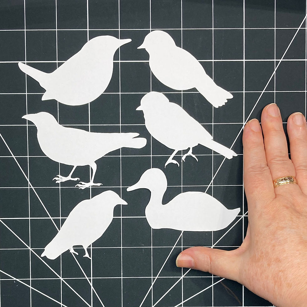 Thumbnail: Bird Tracing Templates Set of 6
