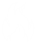 wood-vs-light-steel-framing-does-not-burn.png