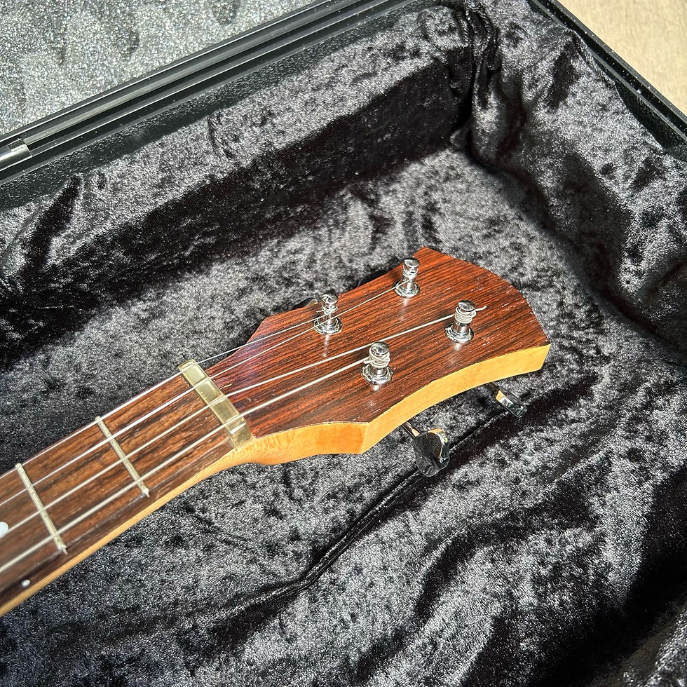 サムネイル： ★ Spider Reso Tenor Guitar LC Lefty /　RG1001L