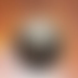 リバーブ付きシガレレ 開発中