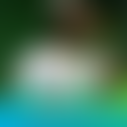 Rayken et Reyel Ay Fusionnent les Genres dans le Clip Entraînant de "Pliss Sou"