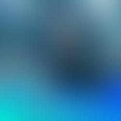 Rhino déchaîne un "Tsunami" musical avec un clip époustouflant