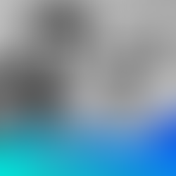 DTF Déclare la "Libertà" - Un Clip Impressionnant qui Affirme la Maturité du Groupe dans le rap