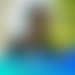 BEENDO Z - Plongée Dans l'Authenticité avec 'De La Fontaine'