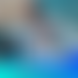 BOUSS Libère une Vague de Fraîcheur avec "Poupie" : Une Ode Ensoleillée à la Vie