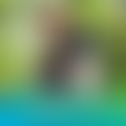 Mathieu Hauguel nous emporte dans un voyage émotionnel avec "JE PARS"