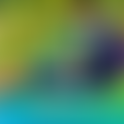 Neymar illumine la scène musicale avec "Courage" : Un hymne inspirant à la résilience et à la détermination