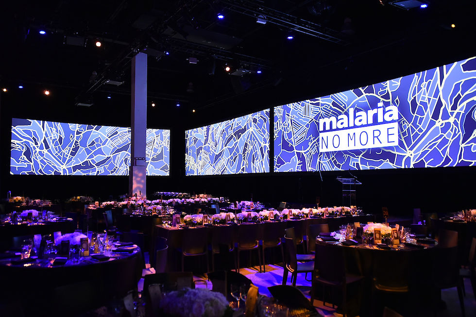 MALARIA NO MORE '17.jpg