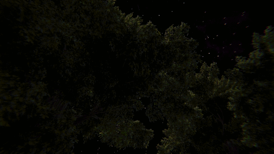 tree2.gif