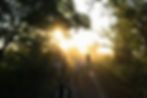 parque-nacional-ansenuza-miramar.png