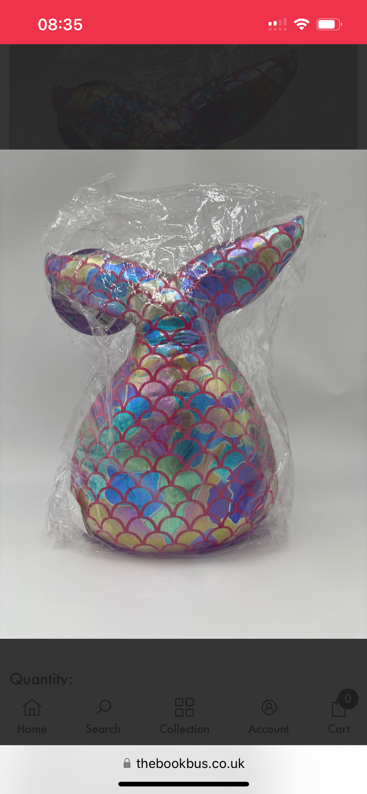 Mermaid Tail Doorstop