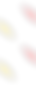 Home.png