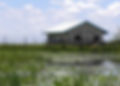 LondonProjectPumpHouse.jpg