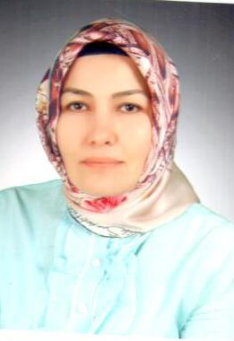 Salise ASLAN