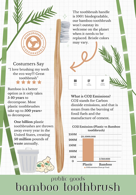 Bamboo Toothbrush Infographic.png