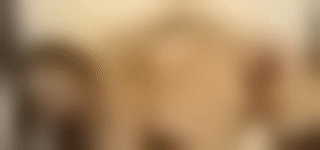 ezgif.com-gif-to-mp4.gif
