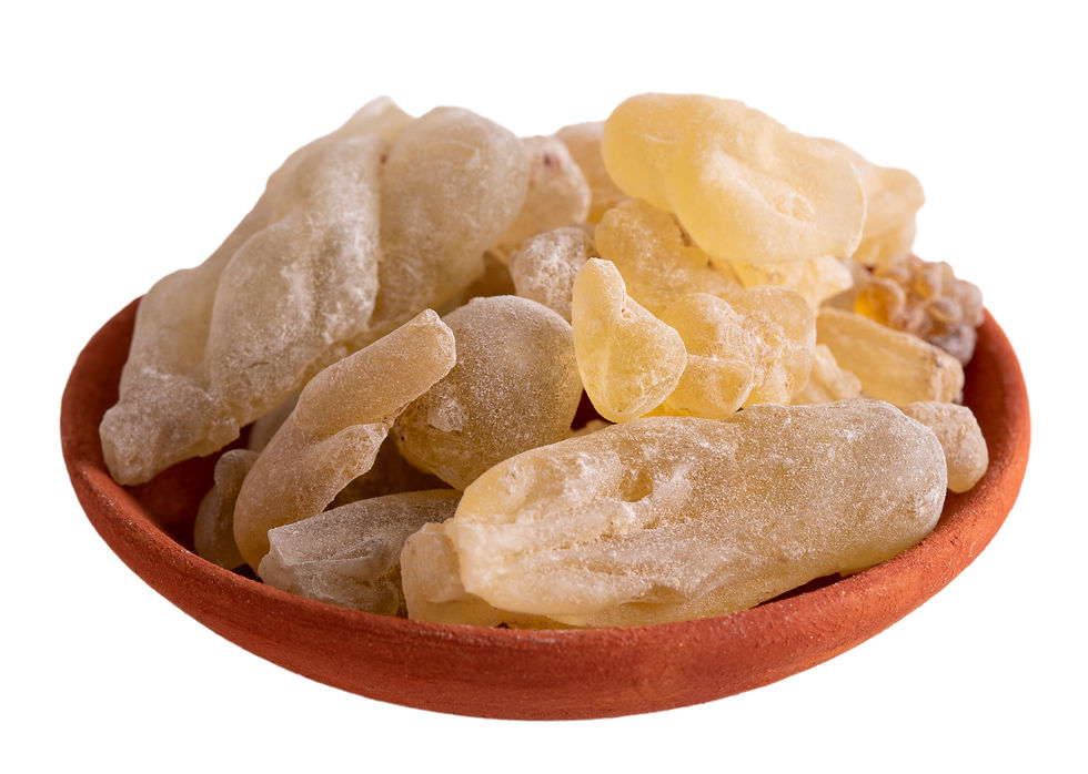 Miniaturbild: Olibanum Dalzielli