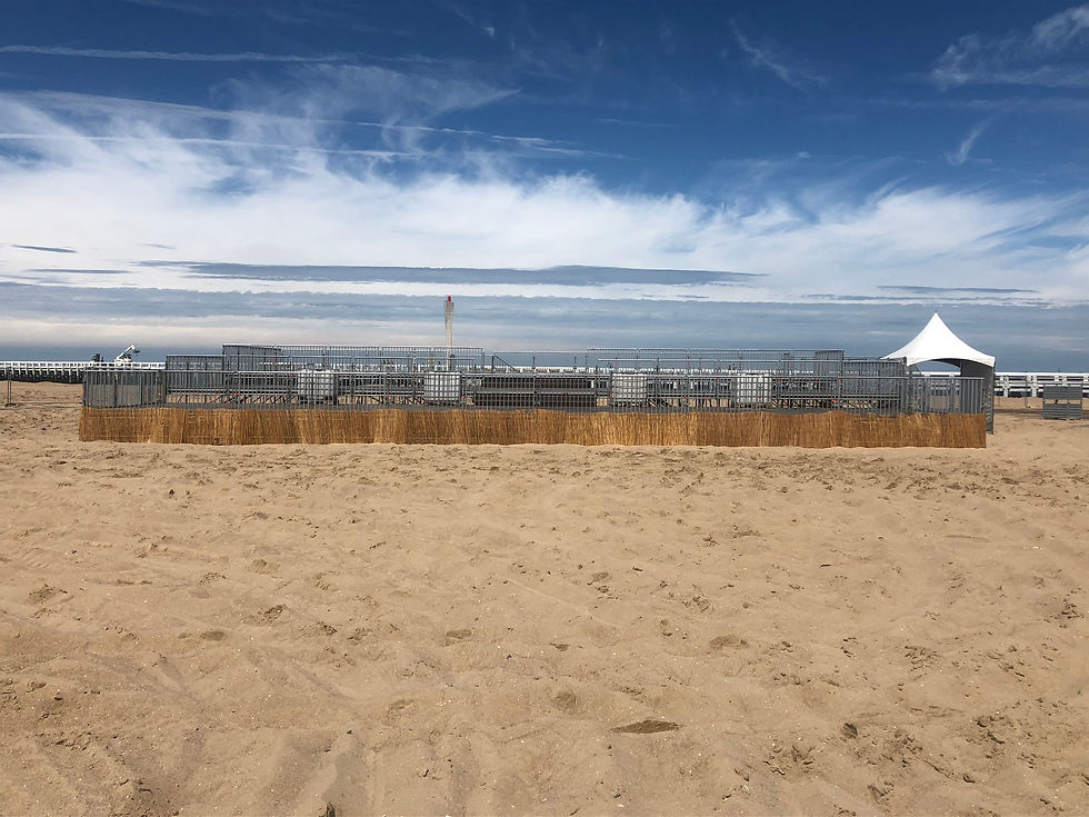 Ostend Beach 2019