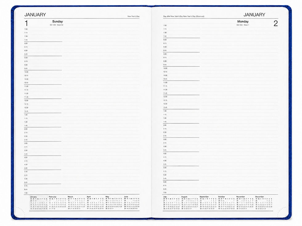Thumbnail: The Last Diary Company Croc Bound Diary A4 Day to Page (CA41), product image 6