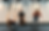 LEYA-136_edited.png