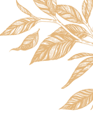 葉子底圖-2.png