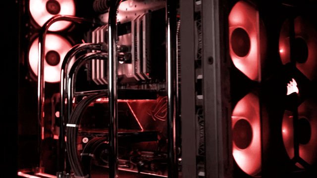 Capucine_CPU_PFF.gif