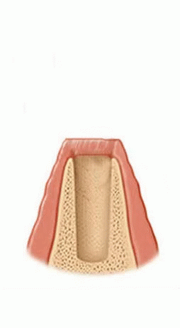tenor.gif