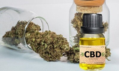 The Ultimate Guide to Buying CBD Flower and Vaping Accessories at Go Vape Stop