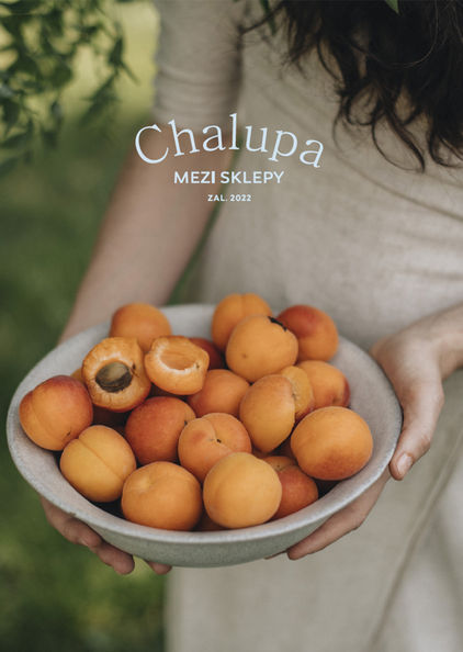 chalupa mezi sklepy_elizatelier.jpg