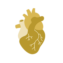 AFHH profile photo(2).png