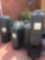 Butts.jpeg